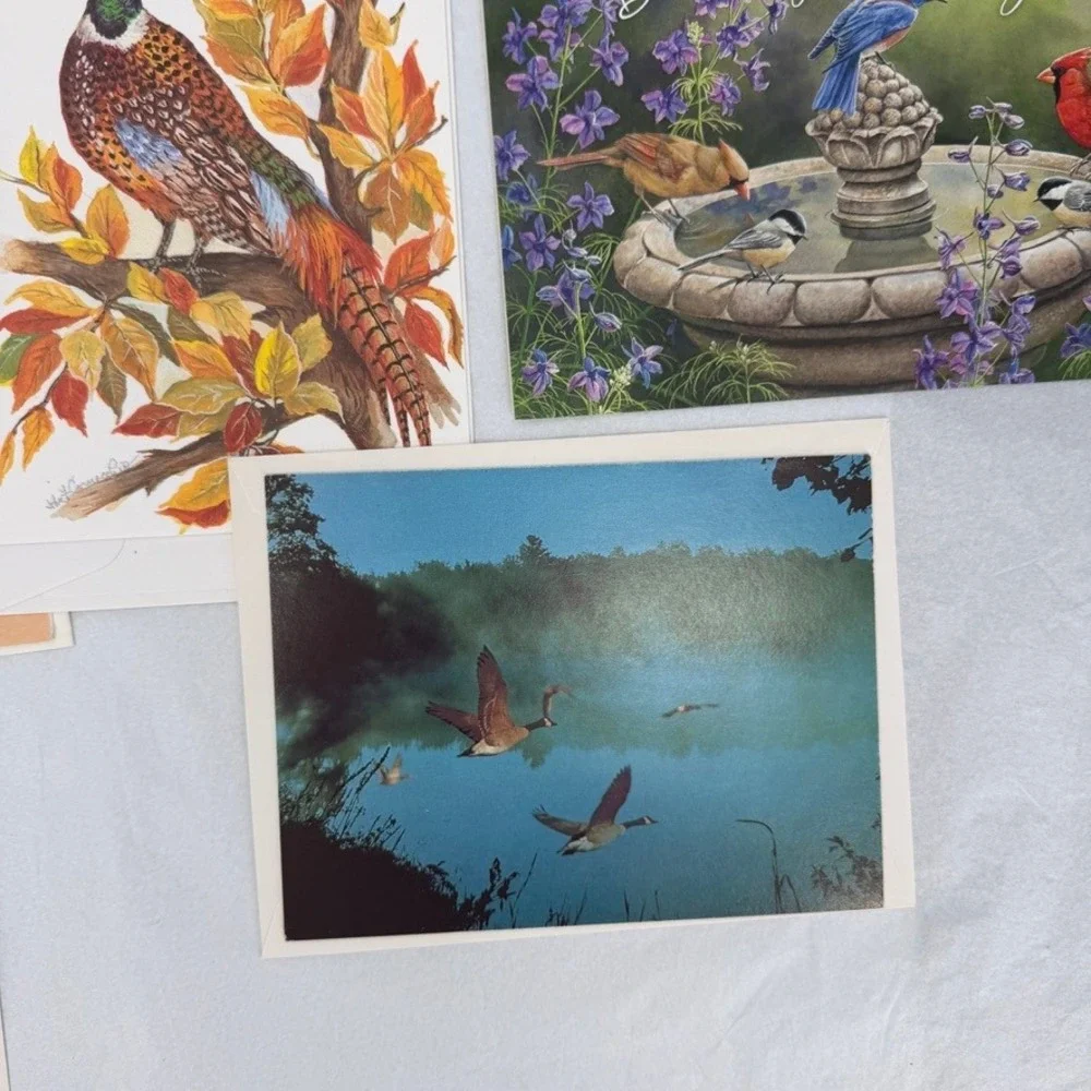 Greeting Cards Mixed LOT Bird Floral Nature Art Stationery Ephemera Snail Mail